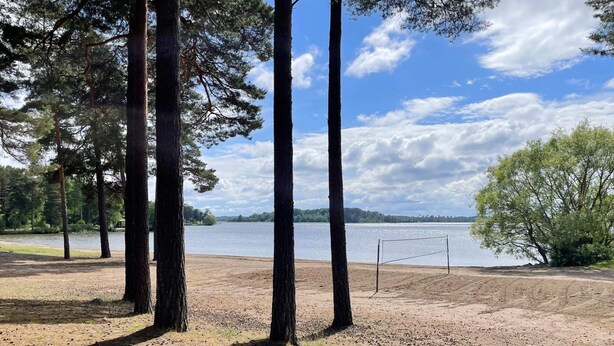 Eine natürliche Landschaft mit Bäumen, einem Volleyballnetz und einem See.
