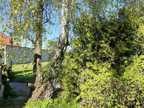 A garden area with mature trees, a pathway, and a building with a red roof in the background. - 4 Person Holiday Home in Hollviken (Hollviken)