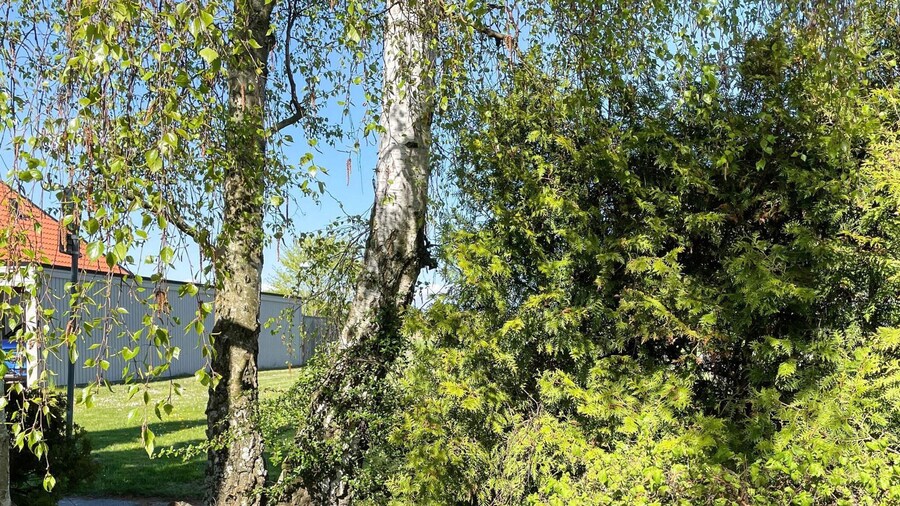 4 Person Holiday Home in Hollviken