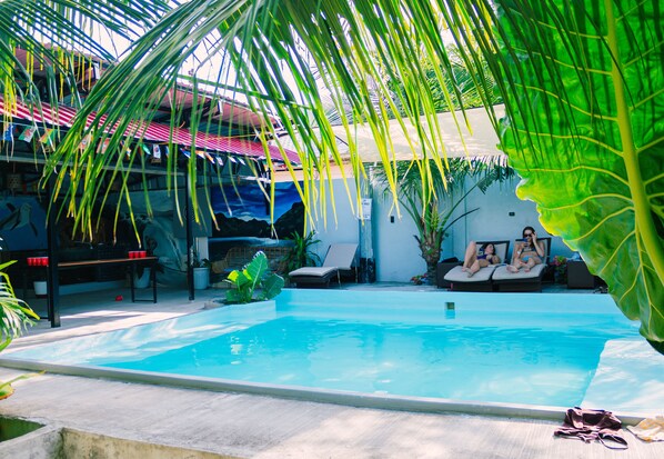 A swimming pool with lounge chairs and umbrellas, surrounded by tropical plants. - Ananas Guesthouse (Moalboal)