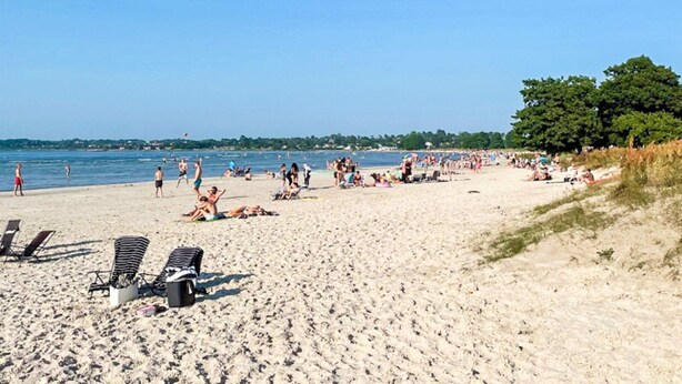 Una playa con tumbonas y gente relajándose.