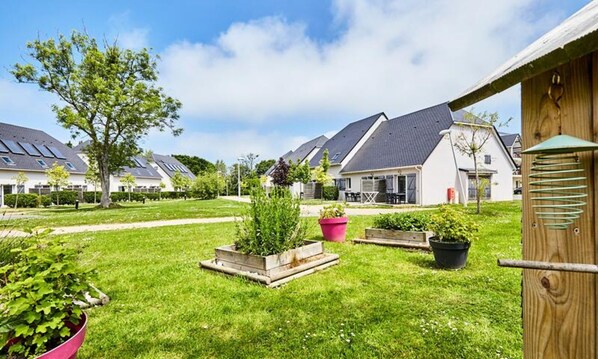 Khuôn viên nơi lưu trú