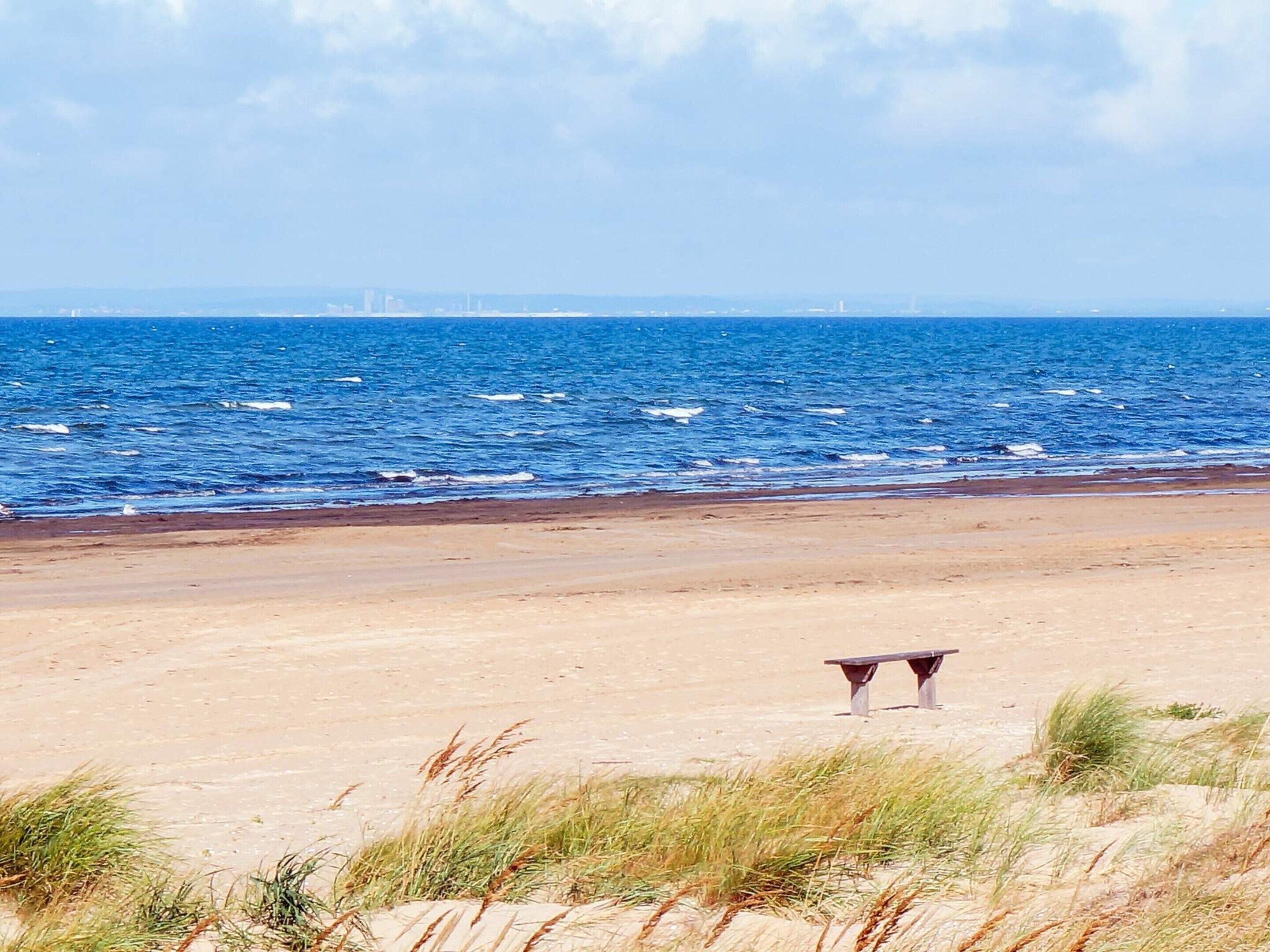 A beach with a bench and grass in the foreground, and the ocean in the background.