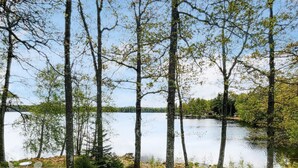 A serene lakeside setting with tall trees and a clear view of the water. - 5 Star Holiday Home in Osby (Osby)