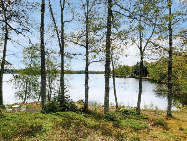 Un entorno tranquilo junto al lago, con altos árboles y aguas calmadas.