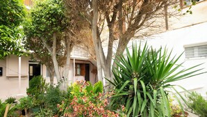 A garden with various plants and trees, a white building, and a wooden fence. - Rianou Apartment (Chania)
