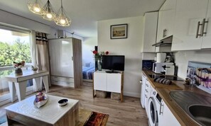 Fridge, microwave, oven, coffee/tea maker