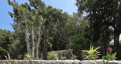 Maison Mahana