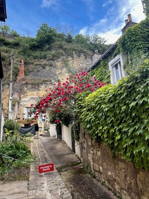 Un callejón estrecho con un muro de piedra, un letrero rojo que indica propiedad privada y un edificio con una ventana cubierta parcialmente por hiedra.