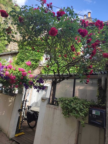 Charming house in the heart of the historic center of Amboise