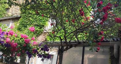 Charming house in the heart of the historic center of Amboise