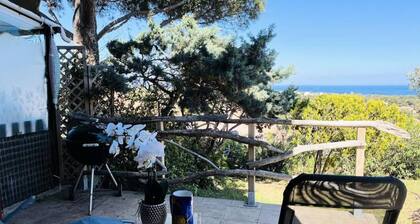 3 Rooms for 6 People