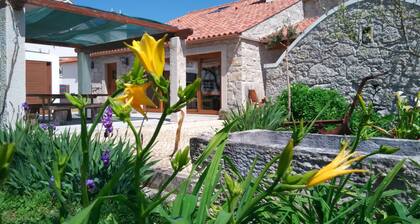 Explore, Relax and Invigorate Yourself at Grandma Lídia's Retreat