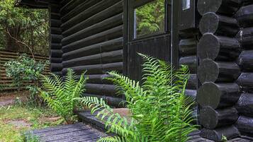 House | View from property