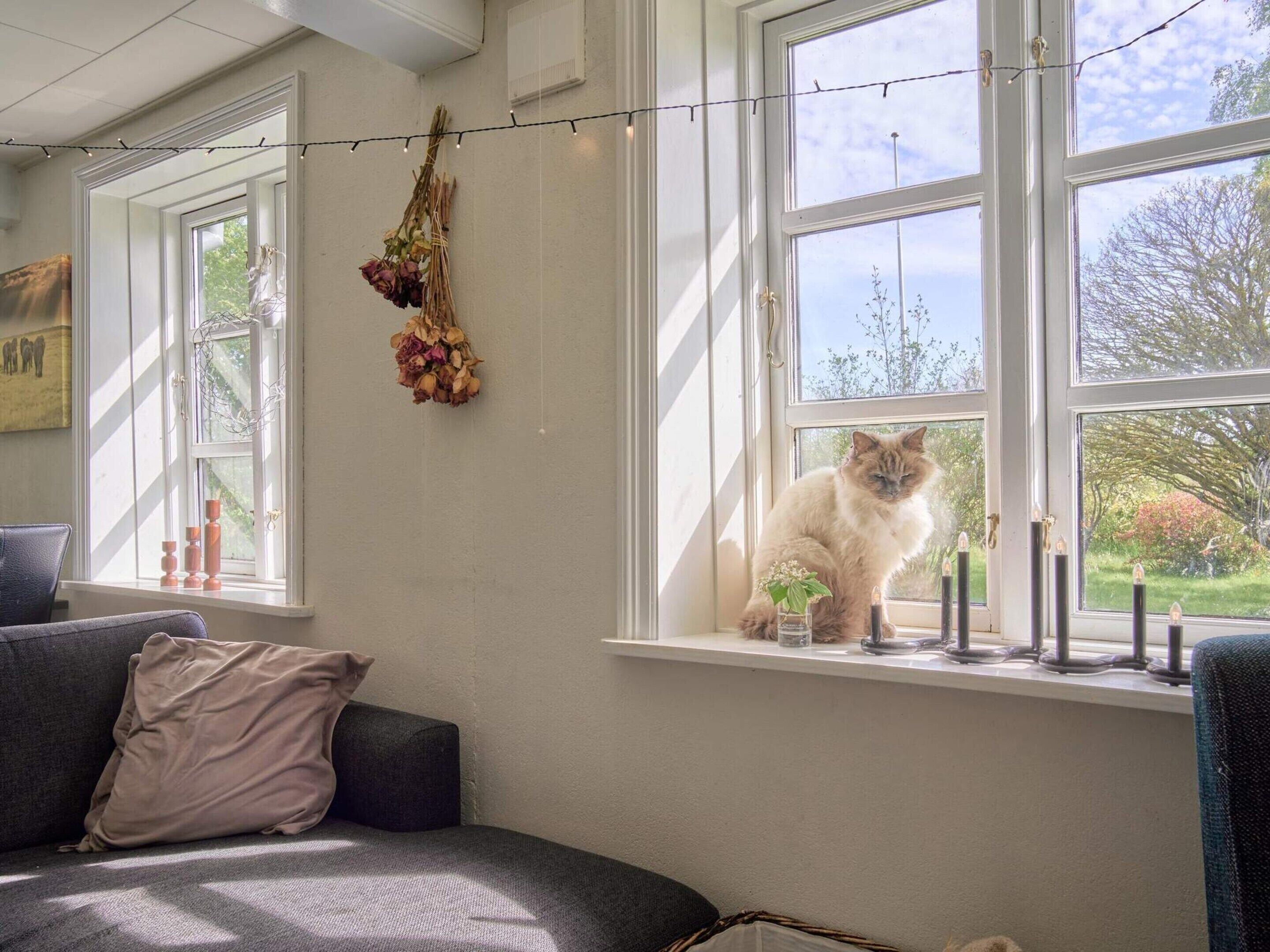 Ferienhaus | Innenbereich