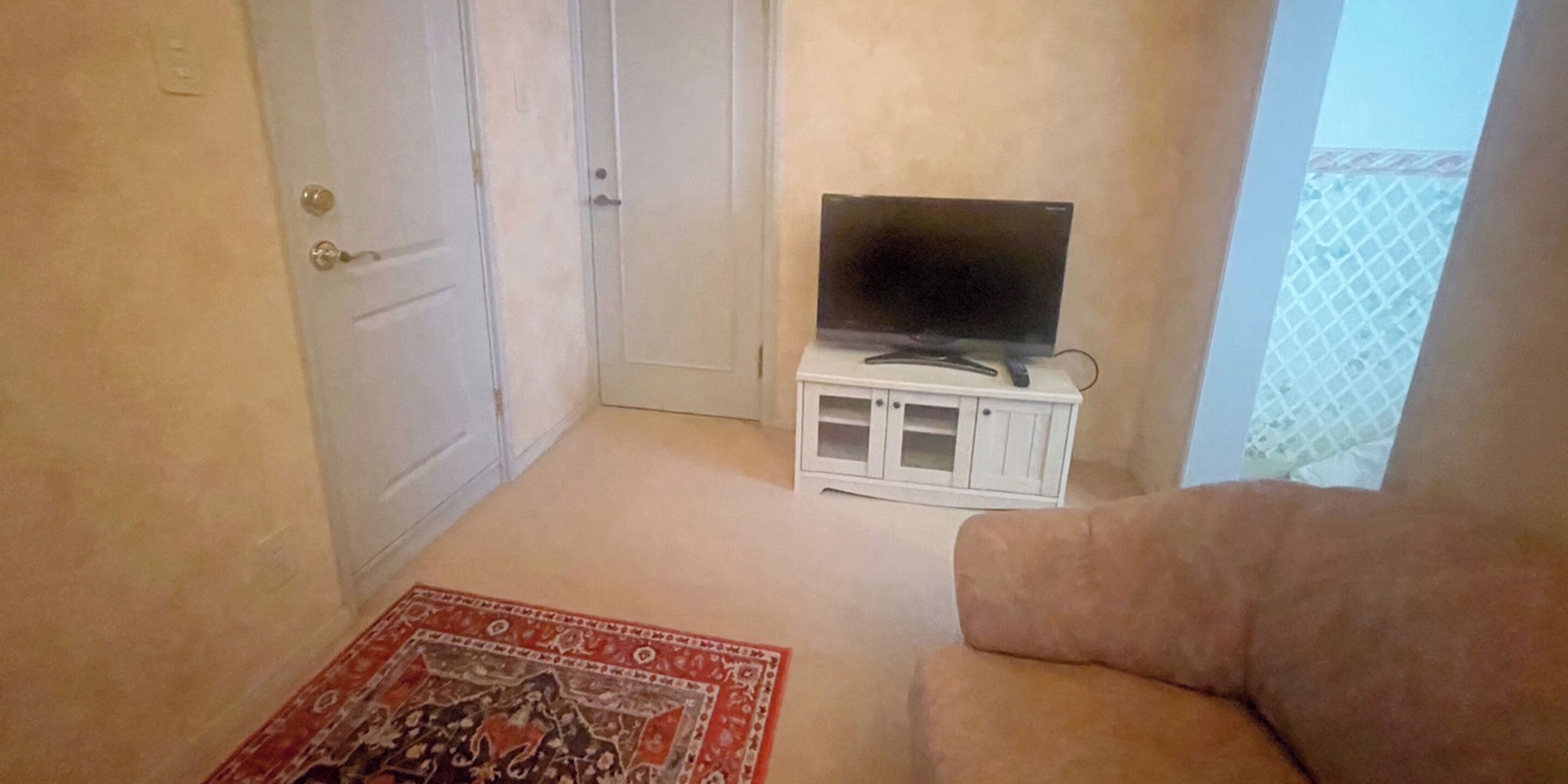 Un salon avec un canapé, un téléviseur posé sur un meuble, un tapis à motifs et une porte.
