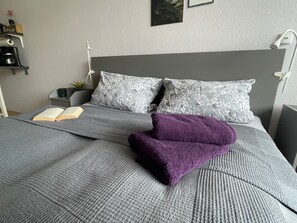 1 habitación, escritorio, tabla de planchar con plancha y wifi gratis 