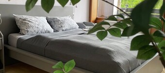 Vacation apartment in Freudenstadt-Kniebis II, Black Forest