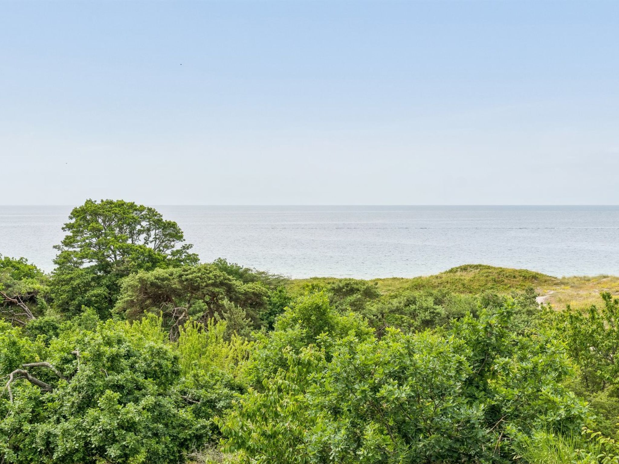 Paisaje costero con abundante vegetación y una vista despejada del mar.
