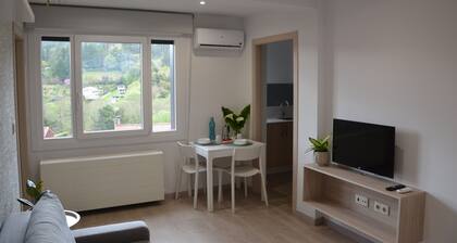 Avio Apartament - Pedrouso View Suite