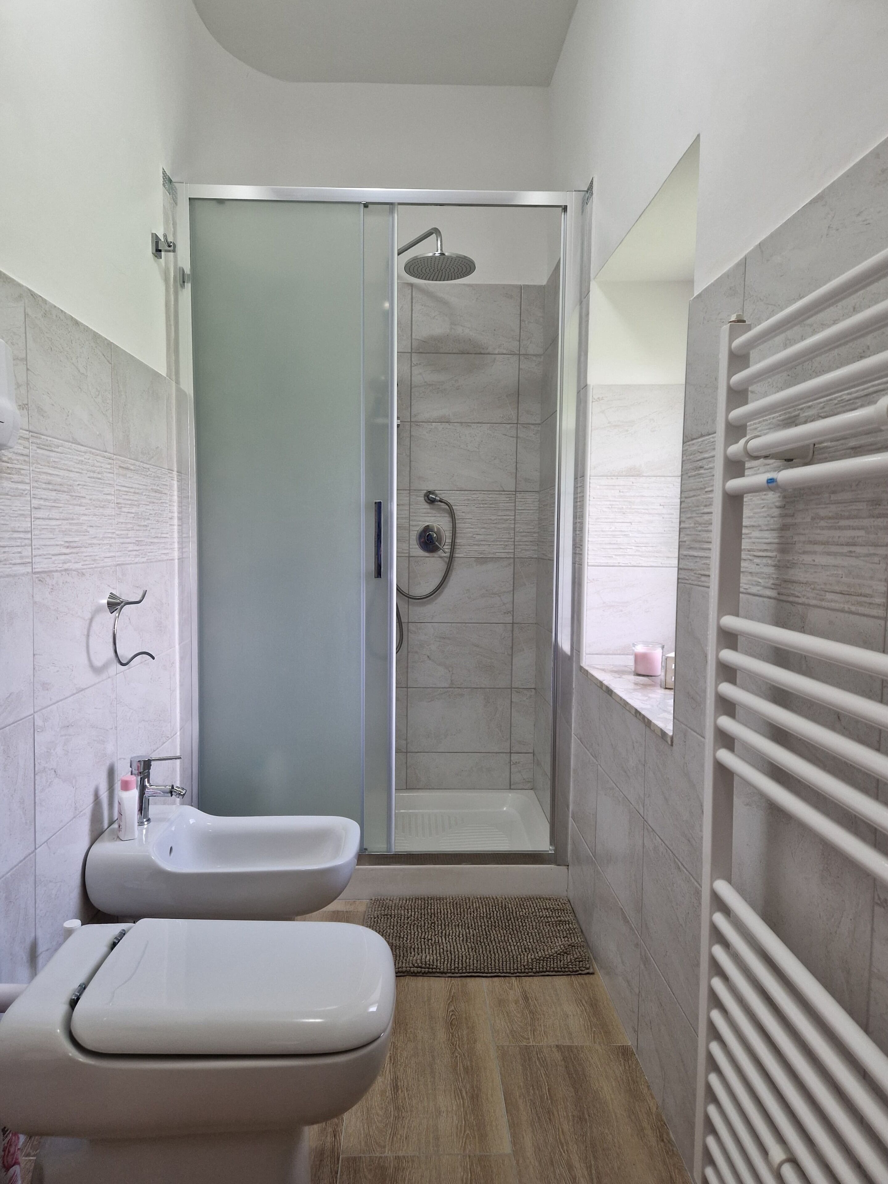Shower, hair dryer, bidet, towels