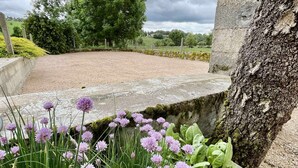 Un jardin avec un chemin de gravier, un mur de pierre et des fleurs violettes.