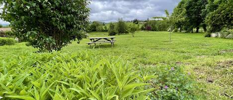 A picnic table in a grassy park area with trees and shrubs.
