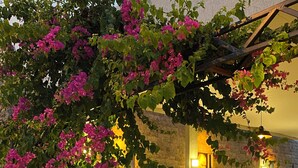 Unclassified image, 4 of 61, button - Tuna Butik Otel (Bodrum)