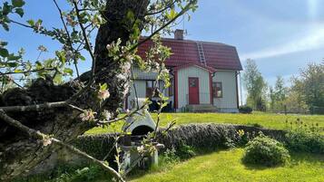 House | Property grounds