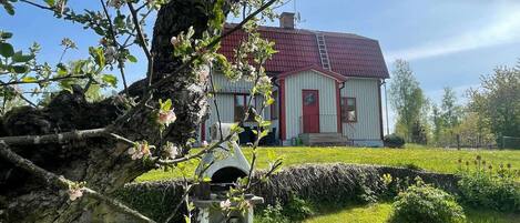 Ferienhaus | Unterkunftsgelände