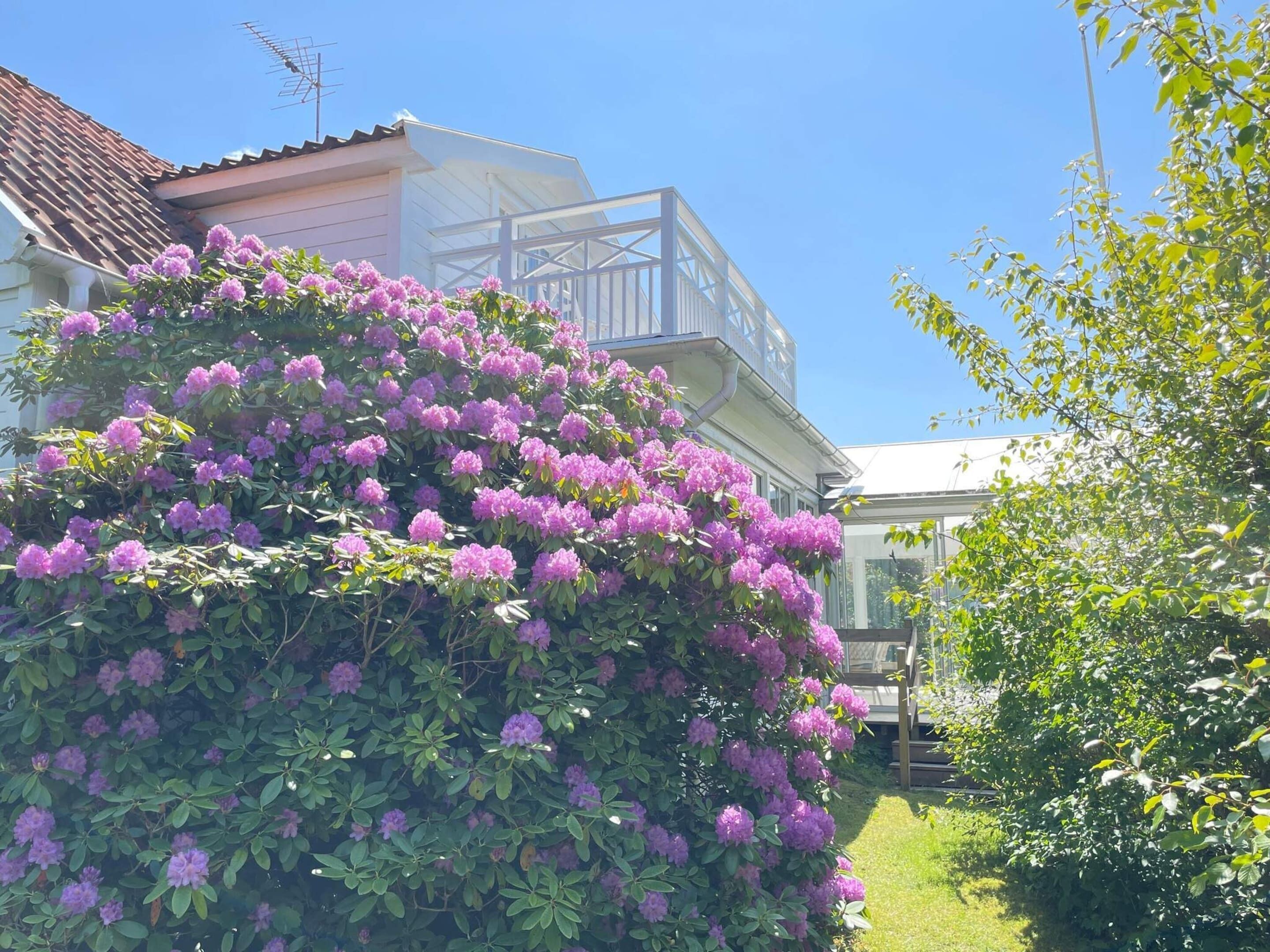 單棟房屋 | 外觀