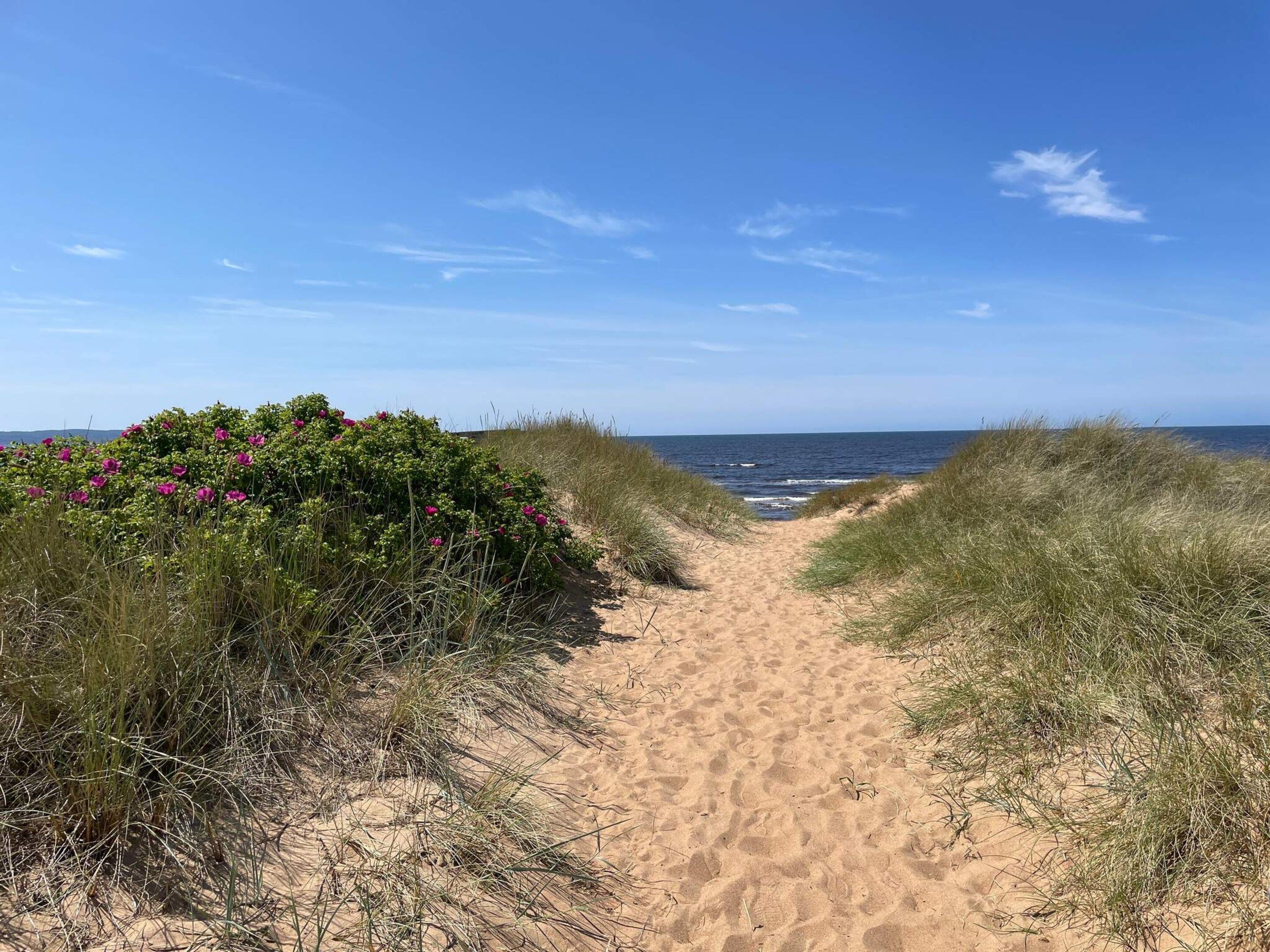 A sandy path leading to the ocean with dunes on either side.