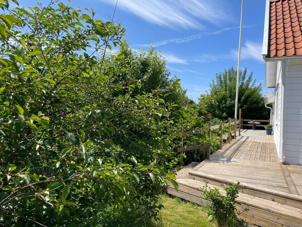 Una terraza de madera que conduce a un edificio blanco con techo rojo, rodeado de abundante vegetación.