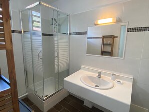 A bathroom with a glass-enclosed shower, a white sink, and a mirror above it.