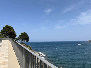 Uma passarela costeira com guarda-corpo, árvores e vista para o mar.