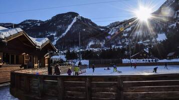 Olahraga salju dan ski