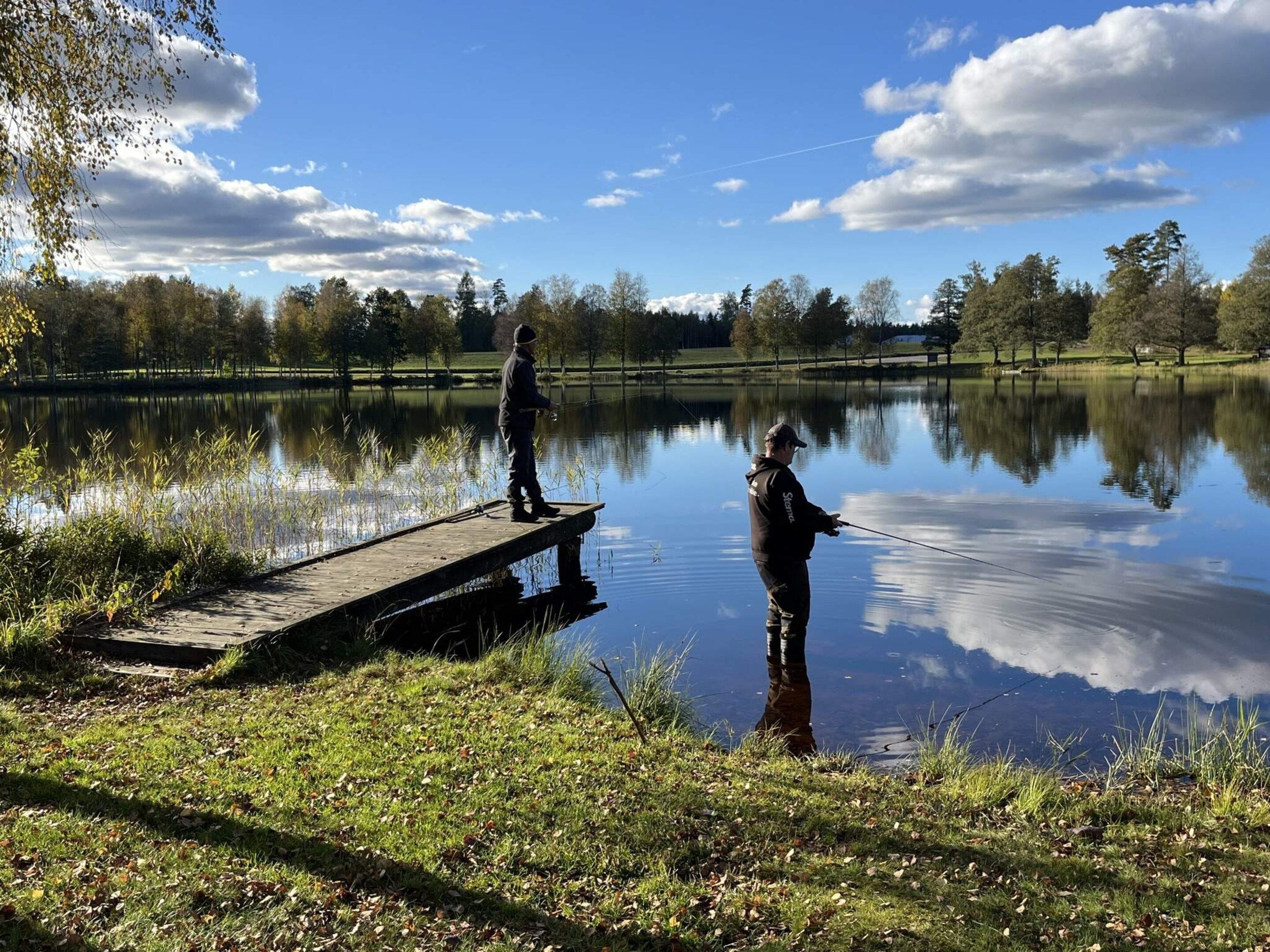 A calm lake with a wooden dock extending into the water, surrounded by trees and a clear sky.