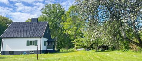 House | Property grounds