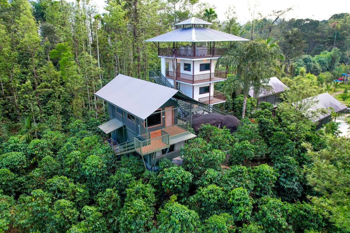 Une maison à deux étages entourée d’une forêt dense.