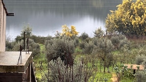 منوع