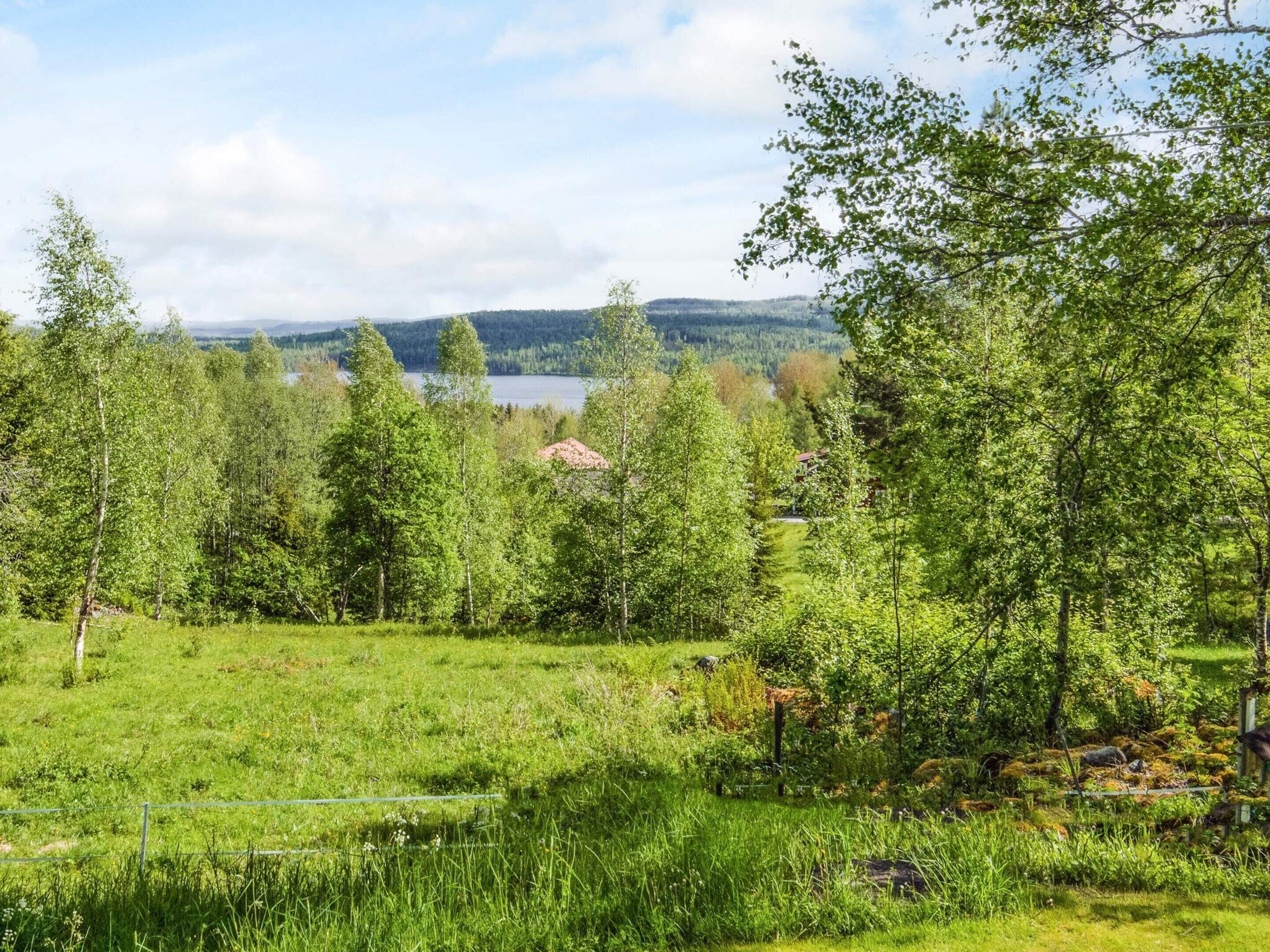 A grassy field with trees and a lake in the background.