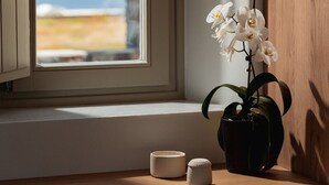 A window with a view of the beach, a wooden shelf with a vase of white orchids, and two small containers.