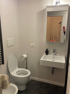 Shower, hair dryer, bidet, towels