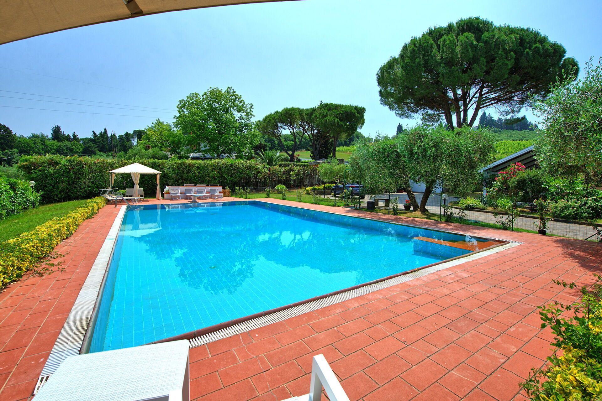 Una piscina rettangolare con bordo piastrellato, circondata da vegetazione e alberi.