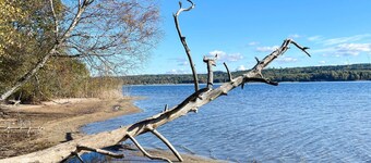 阿爾卑斯山舒適的兩臥室公寓  