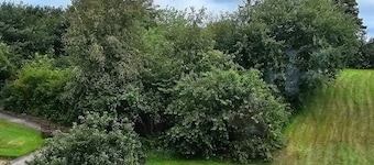 Danish Comfort Room for 2 Guests