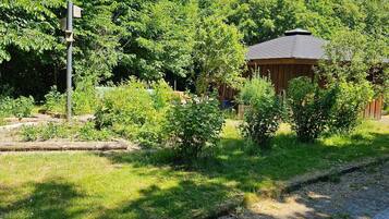 House | View from property