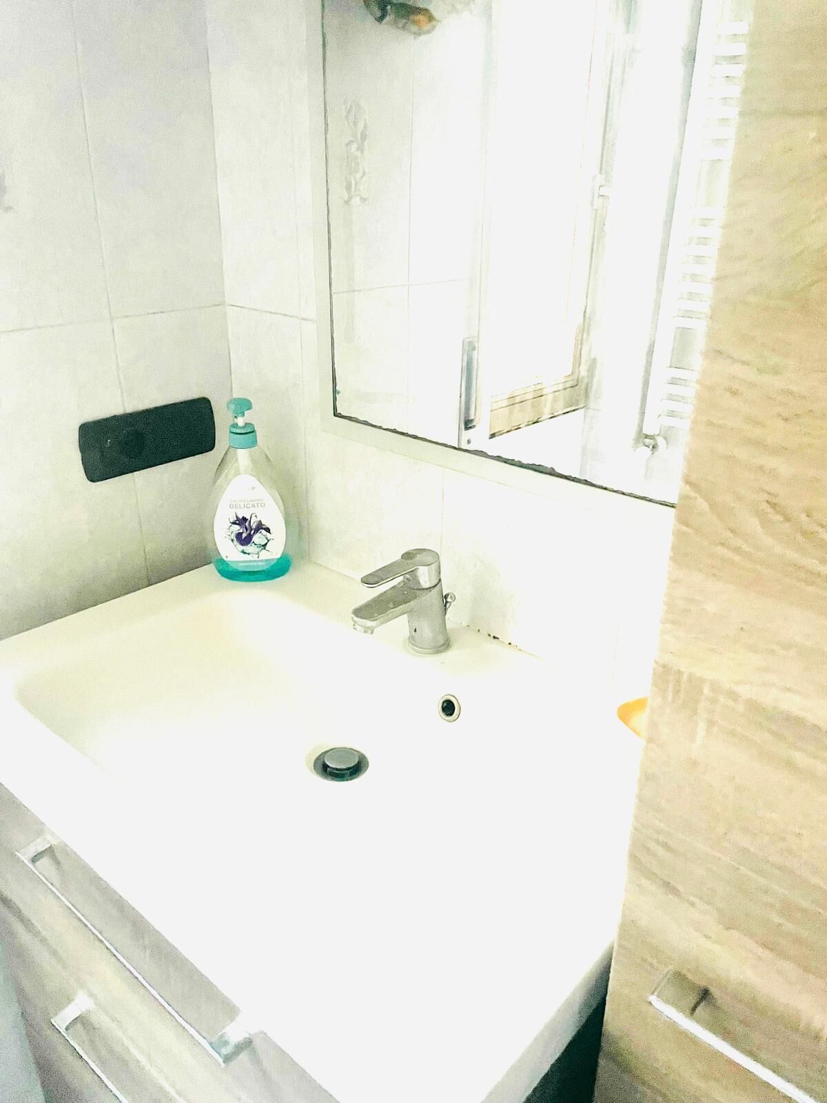 Une salle de bain avec un lavabo blanc, un miroir et un distributeur de savon.