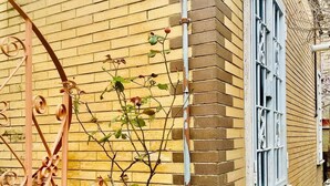 Un edificio de ladrillo con una ventana, un portón de metal y una pequeña planta creciendo en la pared.