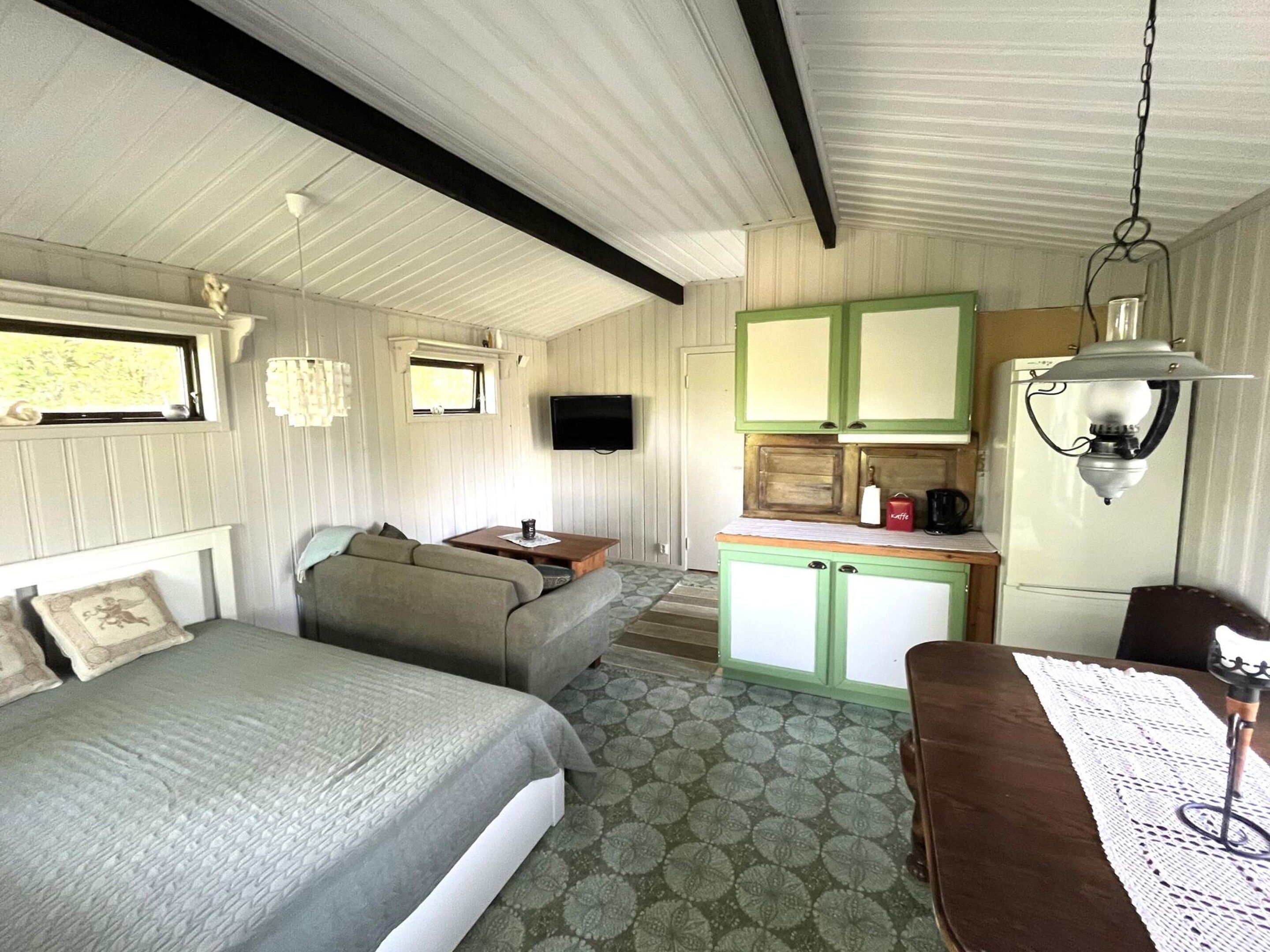 A compact room with a bed, a sofa, a small kitchenette, and a television.